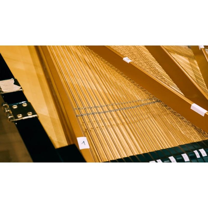 Vienna Symphonic Library Studio FX Piano (Standard Library) Instrument wirtualny VST - 6 - Instrumenty wirtualne - Vienna Sympho