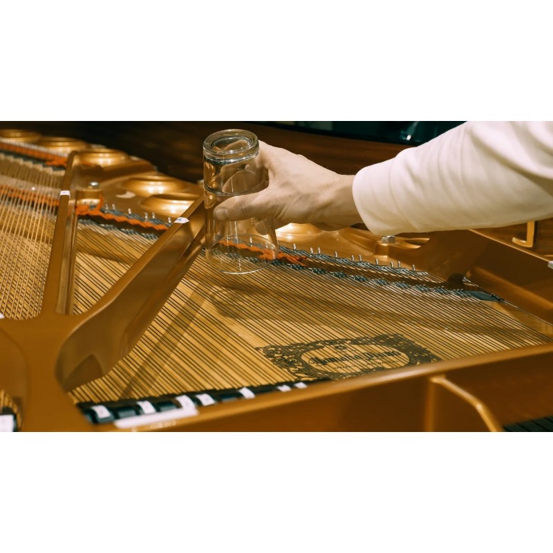 Vienna Symphonic Library Studio FX Piano (Standard Library) Instrument wirtualny VST - 7 - Instrumenty wirtualne - Vienna Sympho