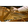 Vienna Symphonic Library Studio FX Piano (Standard Library) Instrument wirtualny VST - 7 - Instrumenty wirtualne - Vienna Sympho