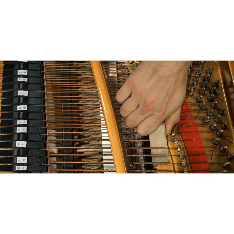 Vienna Symphonic Library Studio FX Piano (Standard Library) Instrument wirtualny VST - 8 - Instrumenty wirtualne - Vienna Sympho