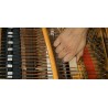 Vienna Symphonic Library Studio FX Piano (Standard Library) Instrument wirtualny VST - 8 - Instrumenty wirtualne - Vienna Sympho