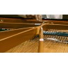 Vienna Symphonic Library Studio FX Piano (Standard Library) Instrument wirtualny VST - 9 - Instrumenty wirtualne - Vienna Sympho