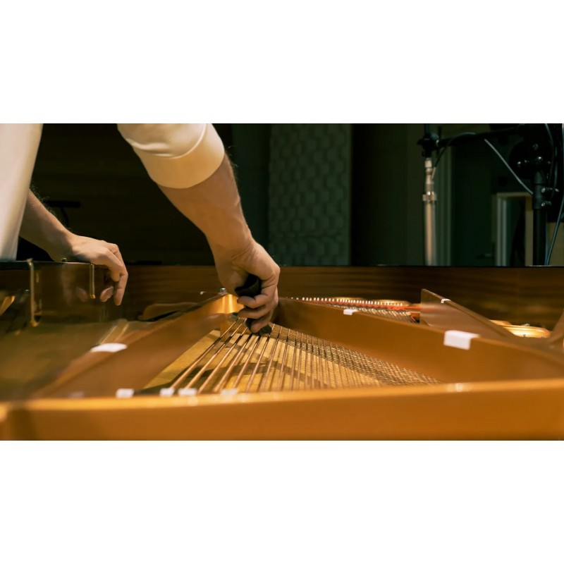 Vienna Symphonic Library Studio FX Piano (Standard Library) Instrument wirtualny VST - 10 - Instrumenty wirtualne - Vienna Symph