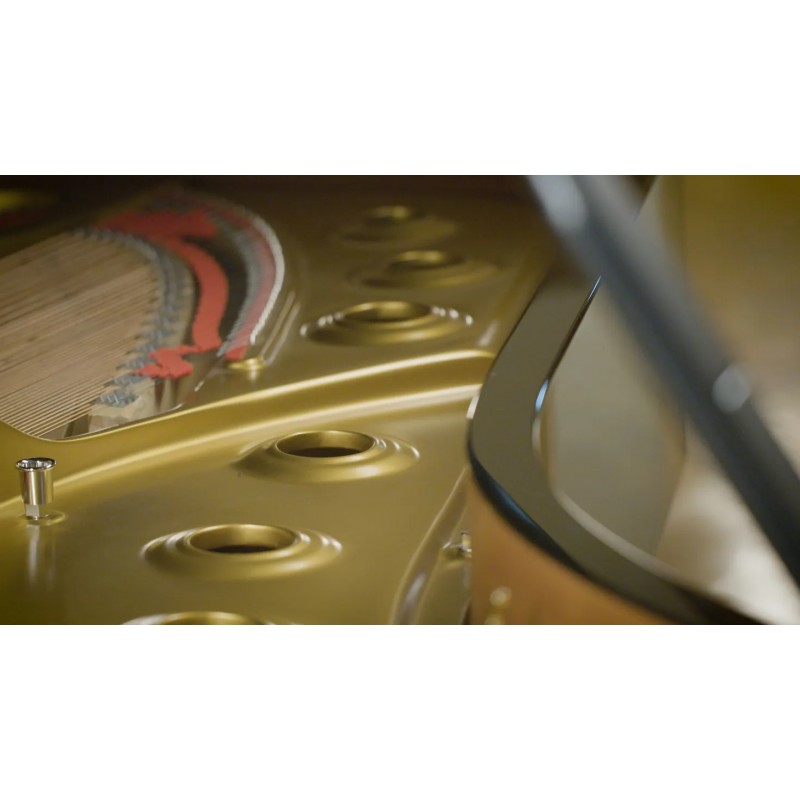 Vienna Symphonic Library Concert D-274 Essentials Instrument wirtualny VST - 5 - Instrumenty wirtualne - Vienna Symphonic Librar