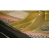 Vienna Symphonic Library Concert D-274 Essentials Instrument wirtualny VST - 6 - Instrumenty wirtualne - Vienna Symphonic Librar