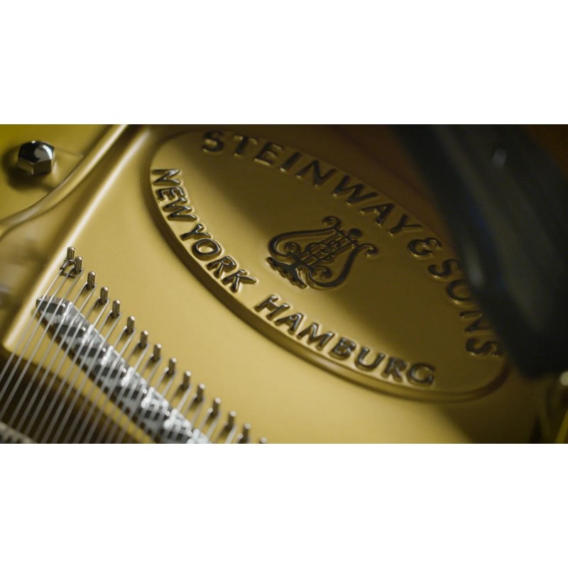 Vienna Symphonic Library Concert D-274 Essentials Instrument wirtualny VST - 7 - Instrumenty wirtualne - Vienna Symphonic Librar