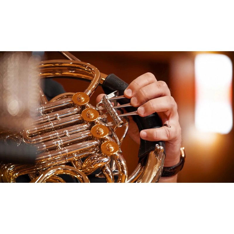 Vienna Symphonic Library Synchron Smart Orchestra 2.0 Instrument wirtualny VST - 9 - Instrumenty wirtualne - Vienna Symphonic Li