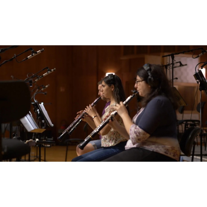 Vienna Symphonic Library Synchron Smart Orchestra 2.0 Instrument wirtualny VST - 11 - Instrumenty wirtualne - Vienna Symphonic L