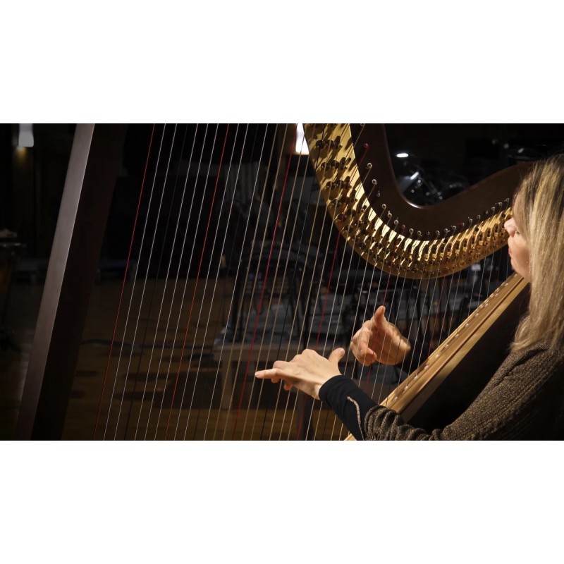 Vienna Symphonic Library Synchron Smart Orchestra 2.0 Instrument wirtualny VST - 13 - Instrumenty wirtualne - Vienna Symphonic L