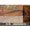 Vienna Symphonic Library Synchron Duality Strings (regular) (Std. Lib.) Instrument wirtualny VST - 2 - Instrumenty wirtualne - V