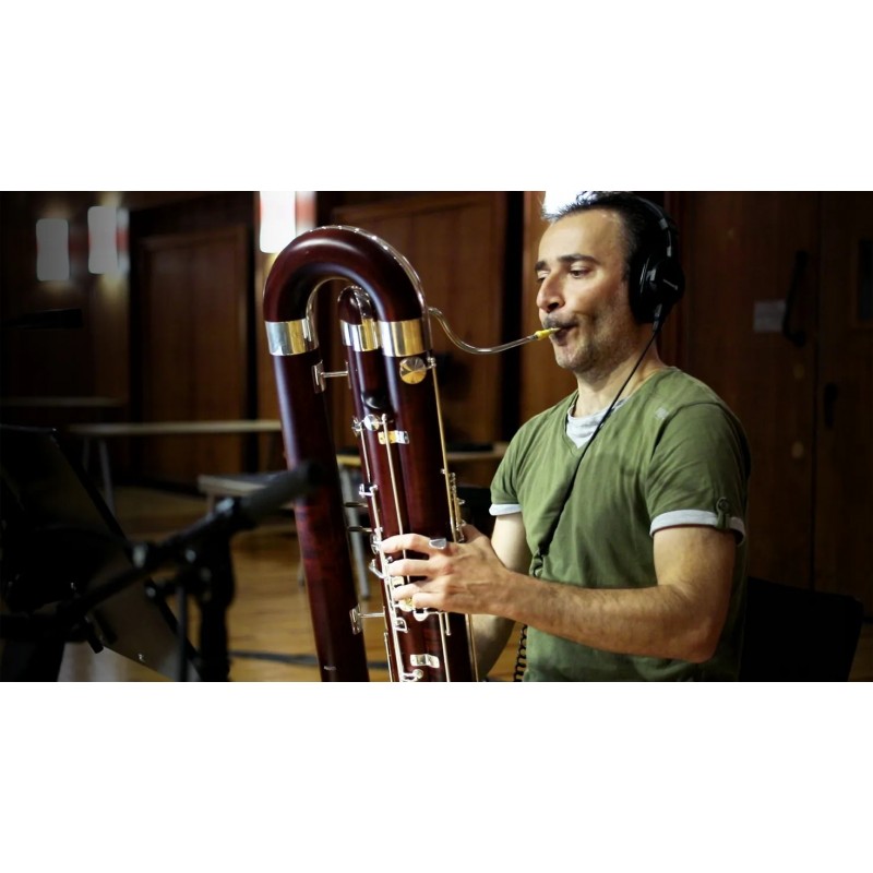 Vienna Symphonic Library Synchron Woodwinds (Standard Library) Instrument wirtualny VST - 5 - Instrumenty wirtualne - Vienna Sym