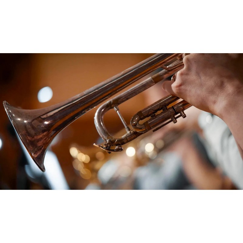 Vienna Symphonic Library Synchron Brass (Standard Library) Instrument wirtualny VST - 4 - Instrumenty wirtualne - Vienna Symphon