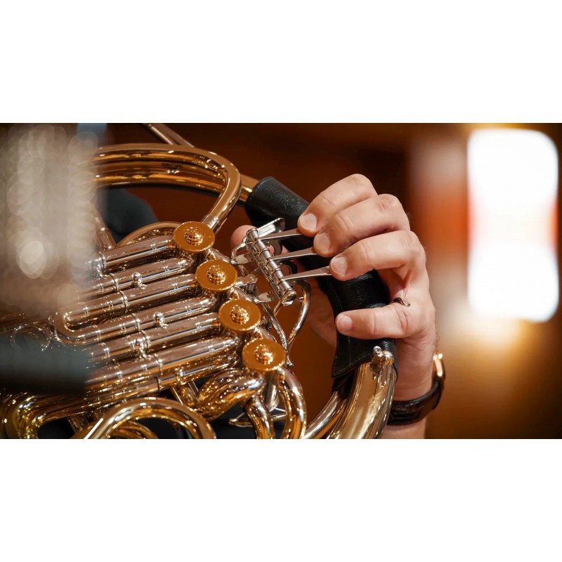 Vienna Symphonic Library Synchron Brass (Standard Library) Instrument wirtualny VST - 5 - Instrumenty wirtualne - Vienna Symphon