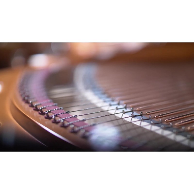 Vienna Symphonic Library Synchron Bösendorfer Imperial (Standard Library) Instrument wirtualny VST - 2 - Instrumenty wirtualne -