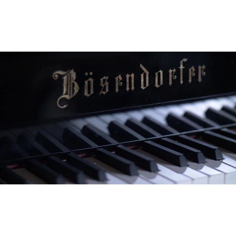 Vienna Symphonic Library Synchron Bösendorfer Imperial (Standard Library) Instrument wirtualny VST - 4 - Instrumenty wirtualne -