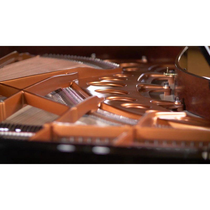 Vienna Symphonic Library Synchron Bösendorfer Imperial (Standard Library) Instrument wirtualny VST - 5 - Instrumenty wirtualne -