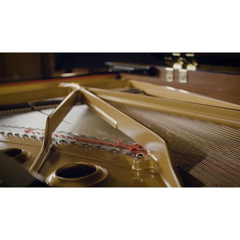 Vienna Symphonic Library Synchron Yamaha CFX (Standard Library) Instrument wirtualny VST - 5 - Instrumenty wirtualne - Vienna Sy