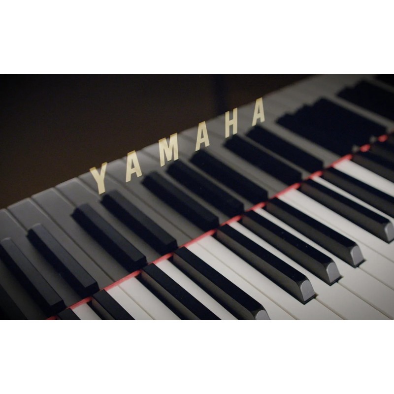 Vienna Symphonic Library Synchron Yamaha CFX (Standard Library) Instrument wirtualny VST - 8 - Instrumenty wirtualne - Vienna Sy