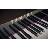 Vienna Symphonic Library Synchron Yamaha CFX (Standard Library) Instrument wirtualny VST - 8 - Instrumenty wirtualne - Vienna Sy