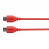 Rode SC22 Red - Kabel USB-C - USB-C 0.3m