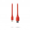 Rode SC21 Red - Kabel USB-C - Lightning 0.3m