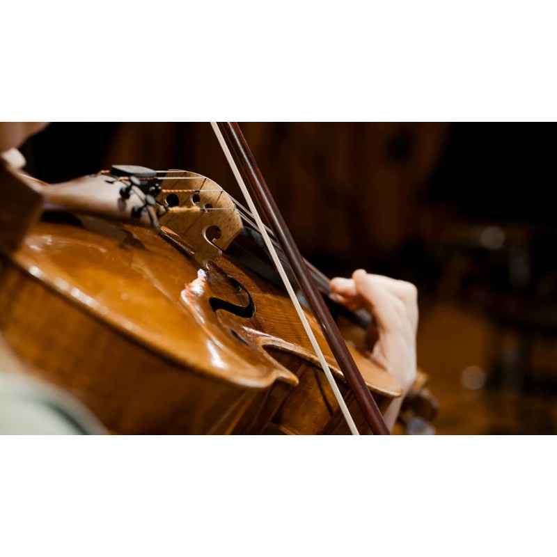 Vienna Symphonic Library Synchron Solo Viola (Standard Library) Instrument wirtualny VST - 7 - Instrumenty wirtualne - Vienna Sy