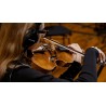 Vienna Symphonic Library Synchron Solo Viola (Standard Library) Instrument wirtualny VST - 8 - Instrumenty wirtualne - Vienna Sy