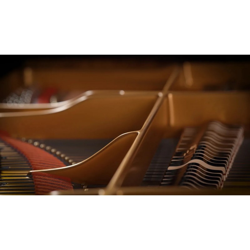 Vienna Symphonic Library Fazioli F308 Essentials Instrument wirtualny VST - 4 - Instrumenty wirtualne - Vienna Symphonic Library