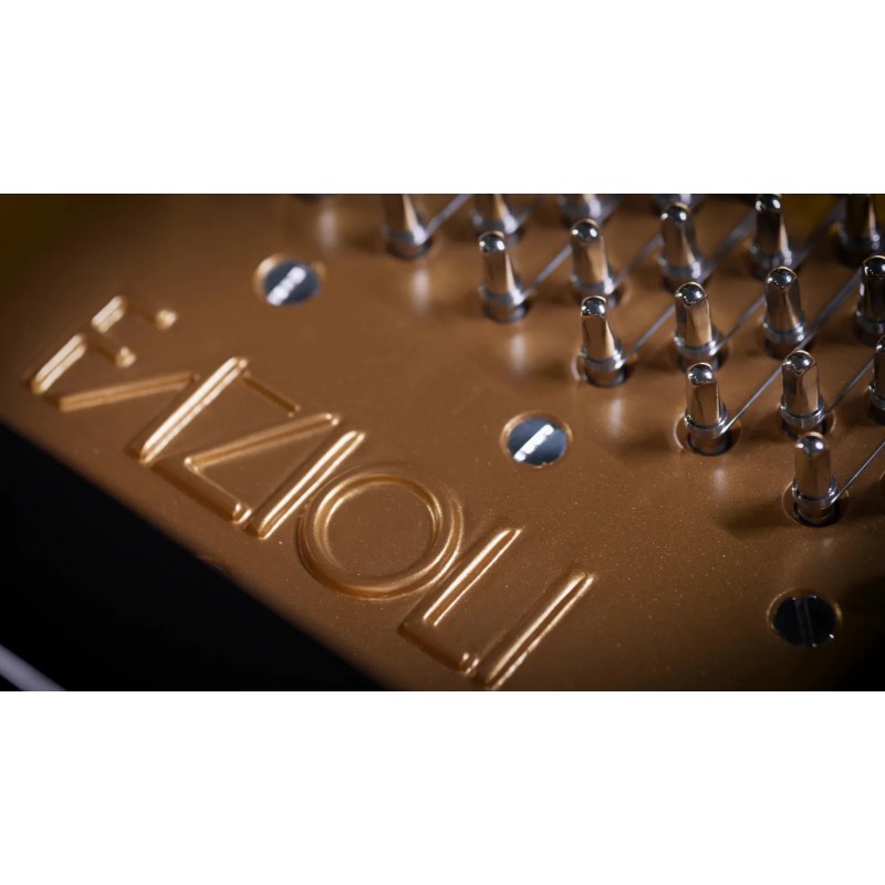 Vienna Symphonic Library Fazioli F308 Essentials Instrument wirtualny VST - 5 - Instrumenty wirtualne - Vienna Symphonic Library