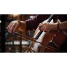 Vienna Symphonic Library Synchron Solo Cello (Standard Library) Instrument wirtualny VST - 5 - Instrumenty wirtualne - Vienna Sy