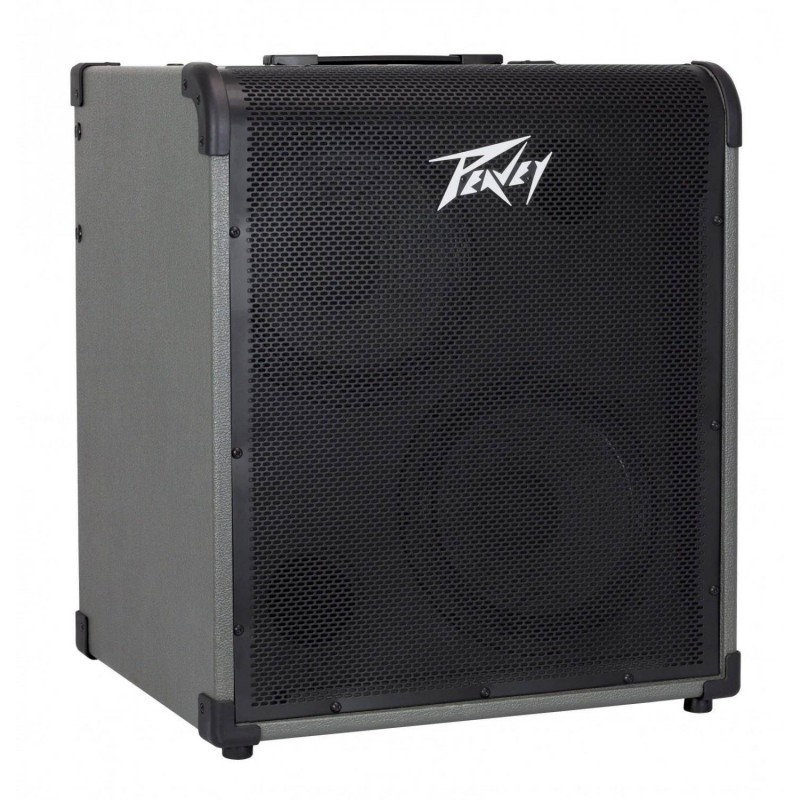 Peavey MAX300 NEW 300W 2x10" Wzmacniacz basowy - 2 - Comba basowe - Combo basowe MAX 300 idealnie nadaje się zarówno dla profesj