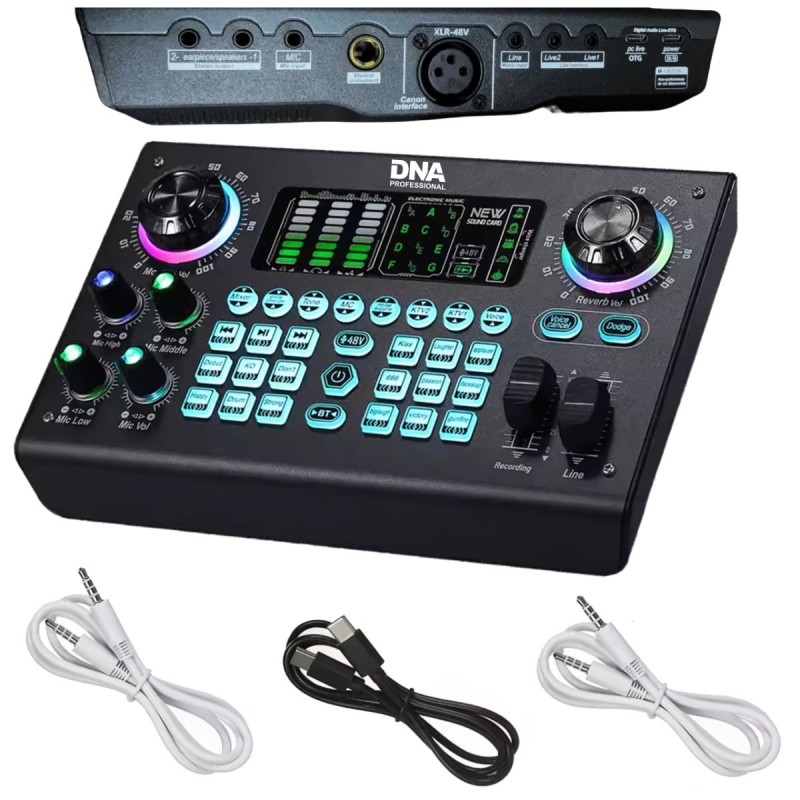 DNA Professional SC Two - Interfejsu audio