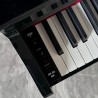 V-Tone GP-88 BK - Pianino cyfrowe grand piano
