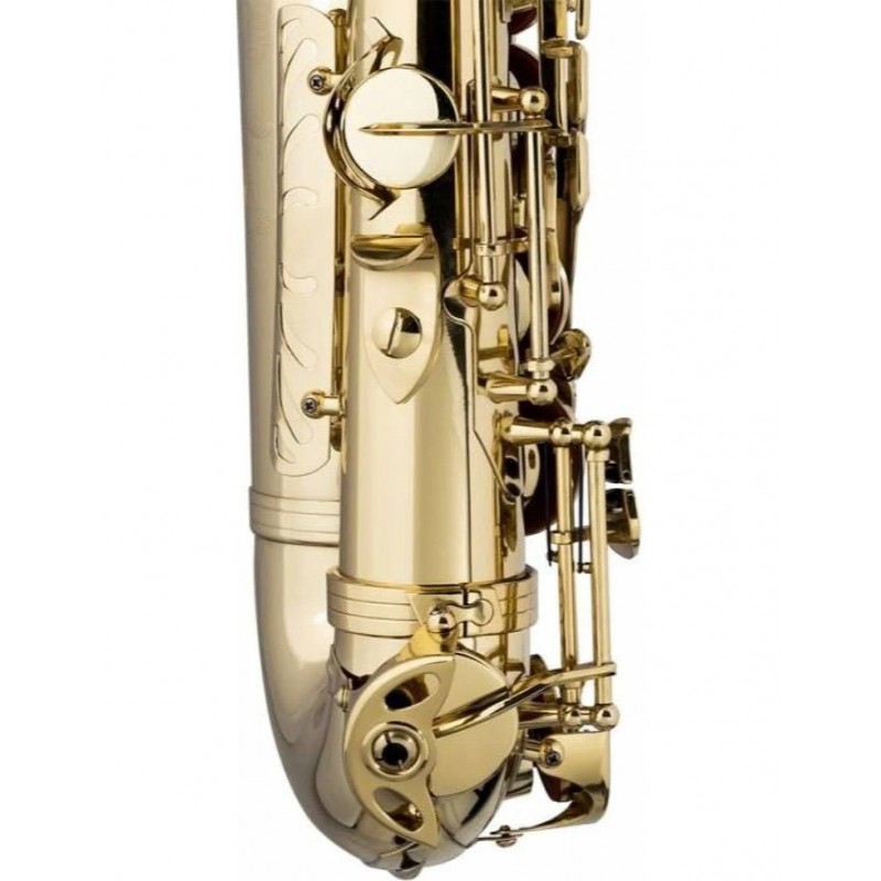 Stagg WS-AS215S - Saksofon Eb z pokrowcem - 2 - Saksofony - Stagg WS-AS215S - Saksofon Eb z pokrowcem