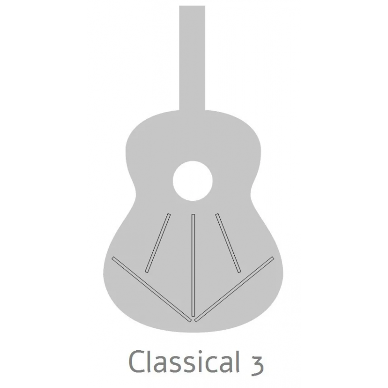 Alhambra 2C - Gitara klasyczna - 6 - Gitary klasyczne - Alhambra 2C  to gitara klasyczna o świetnym brzmieniu i doskonałej jakoś