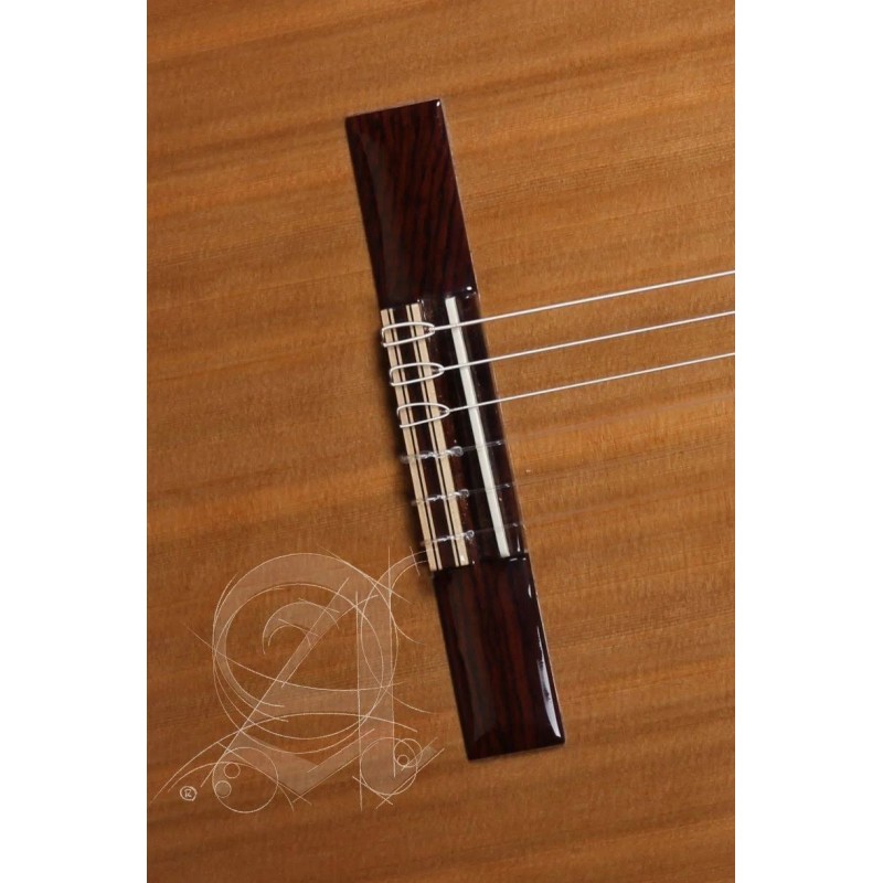 Alhambra Iberia Ziricote - gitara klasyczna 4/4 + Pokrowiec 10mm w zestawie - 6 - Gitary klasyczne - Alhambra Iberia Ziricote  t