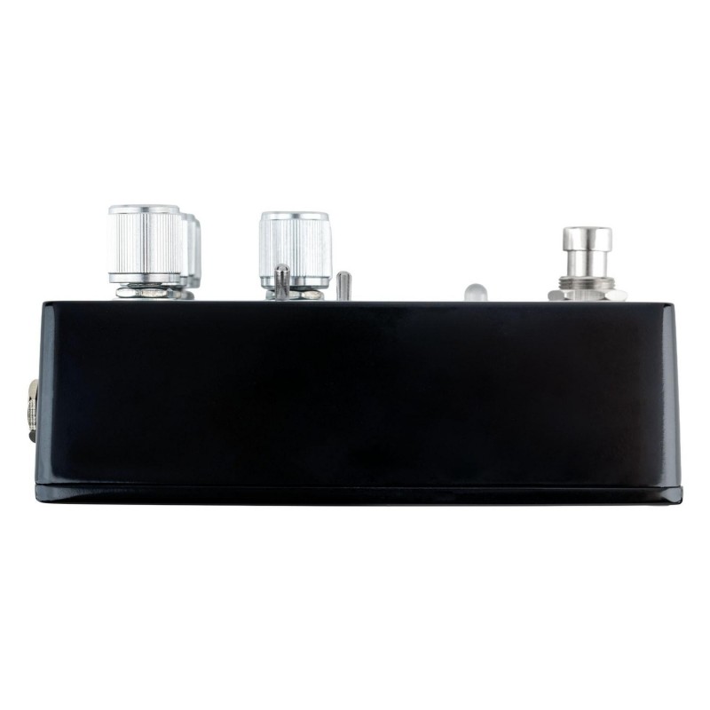 Thorn Soundlabs Black Swamp - Efekt gitarowy Fuzz