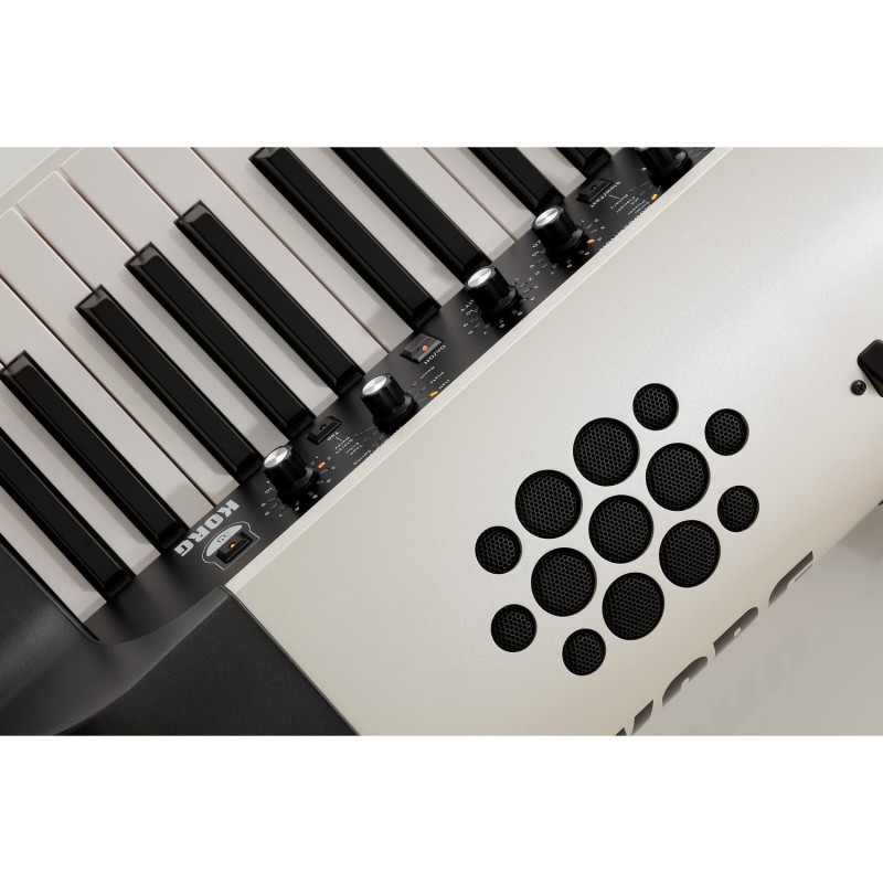 Korg SV-2 73S - Stage Piano