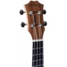 Arrow MH10 Sapele - Ukulele koncertowe z pokrowcem