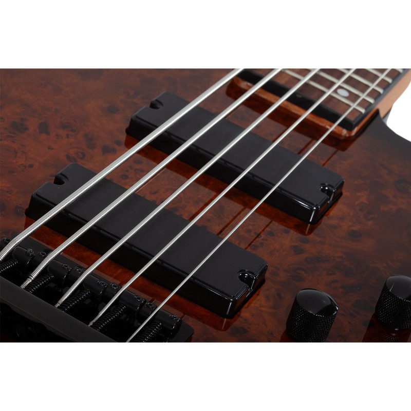 Schecter C-5 Standard Tobacco Burl w/ Figured Burl Top - Gitara basowa