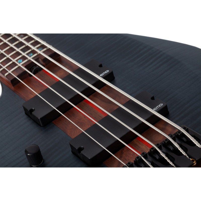 Schecter Charles Berthoud CB-5 LF See Thru Black Satin - Gitara basowa