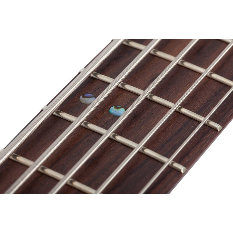 Schecter Charles Berthoud CB-5 LF See Thru Black Satin - Gitara basowa