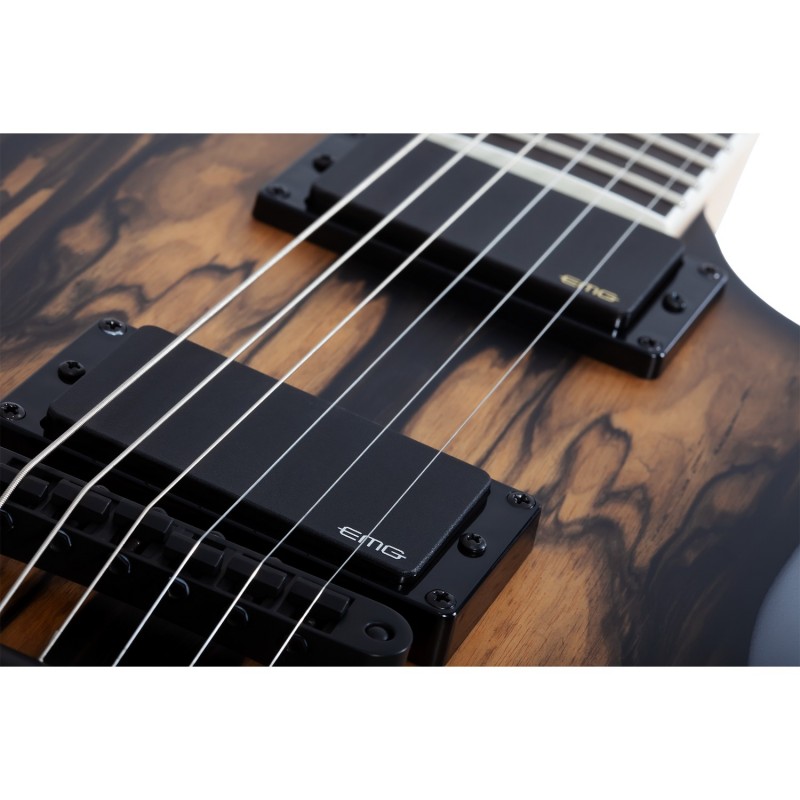 Schecter Wylde Audio Wrathmaker Pale Moon Ebony w/ Black Burst - Gitara elektryczna