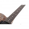 Schecter PT Standard Black Fade Burst Burl - Gitara elektryczna