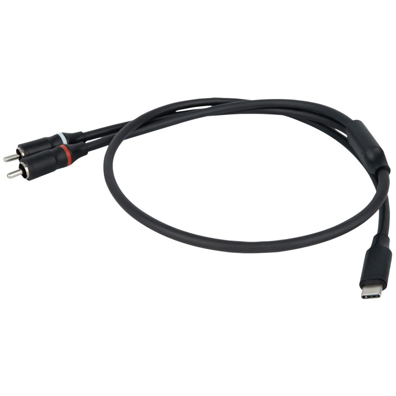 DAP Audio FL110 - Kabel USB-C - 2 RCA M 1.5m