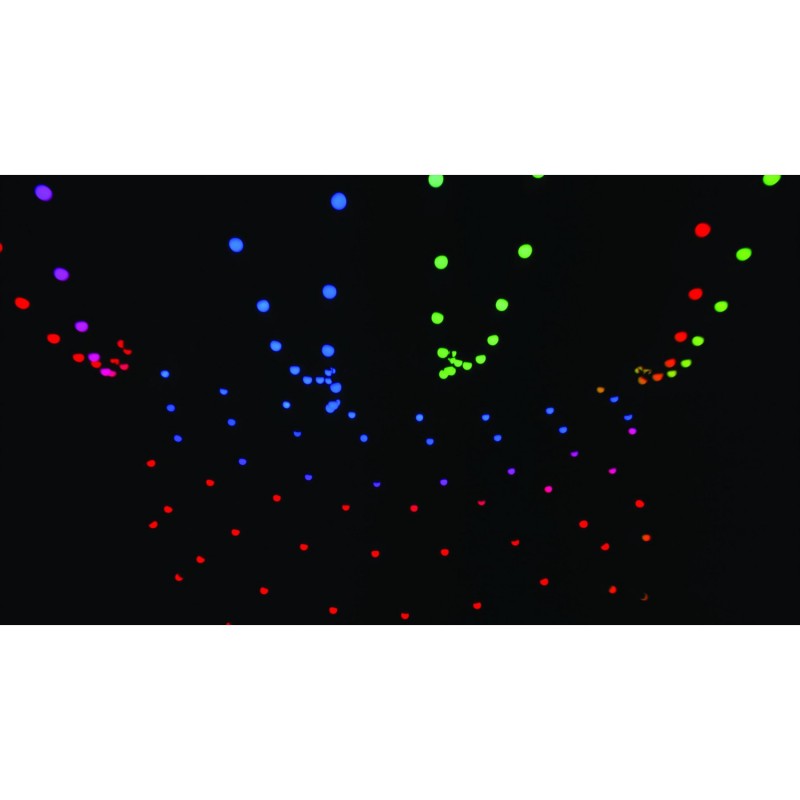 Showtec Festoon Q4 String IP65 - Łańcuch oświetleniowy