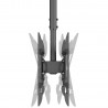 ShowGear PLB-4386 - Podwójny uchwyt sufitowy do telewizora 43"-86"