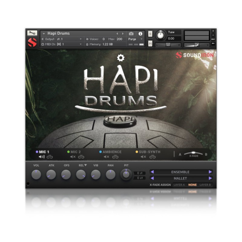 SOUNDIRON Artist Bundle - Zestaw bibliotek brzmień (do pobrania)