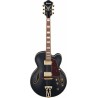 Ibanez AF75G BKF - Gitara elektryczna