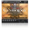 SOUNDIRON Cymbology - Biblioteka brzmień (do pobrania)